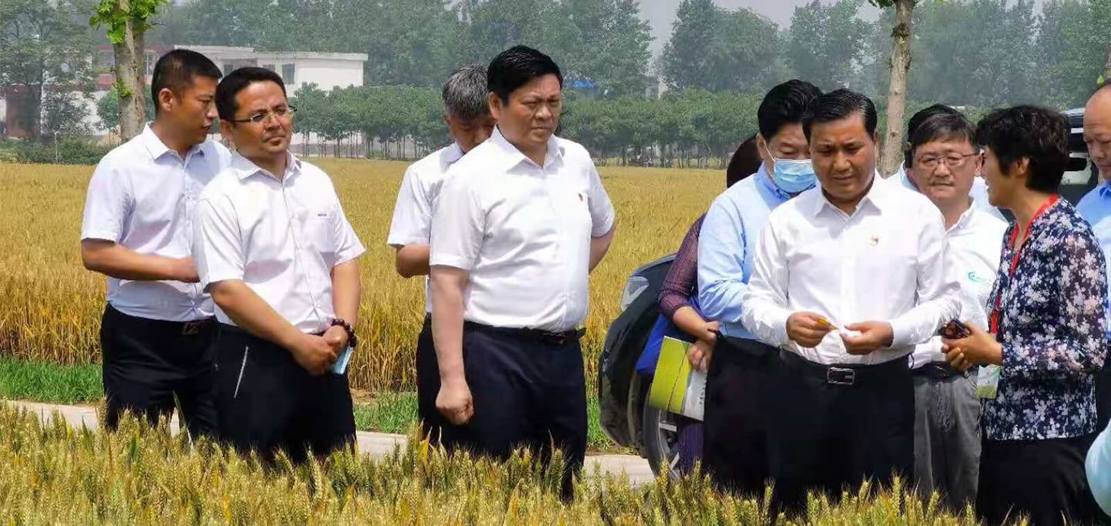 OG东方厅