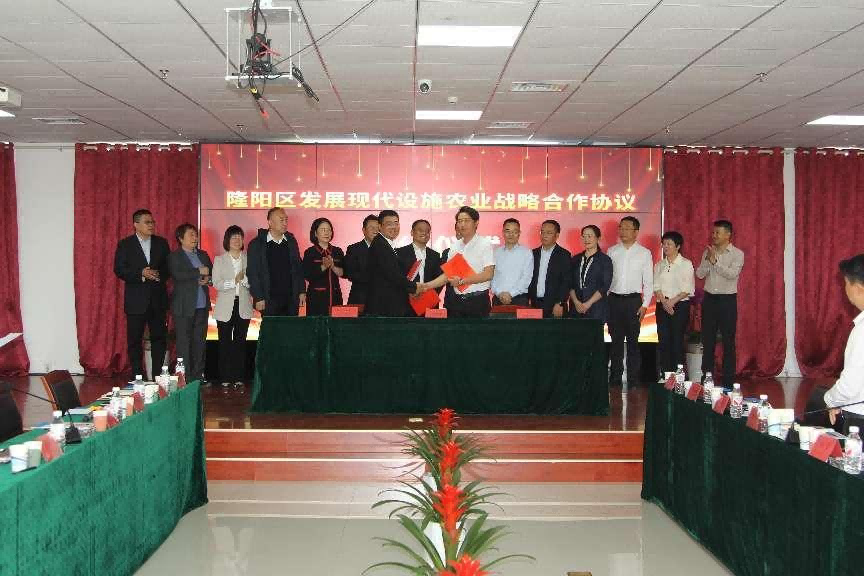OG东方厅