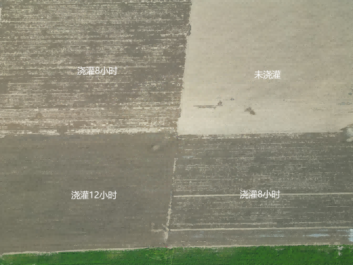 OG东方厅