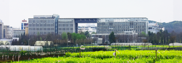 OG东方厅