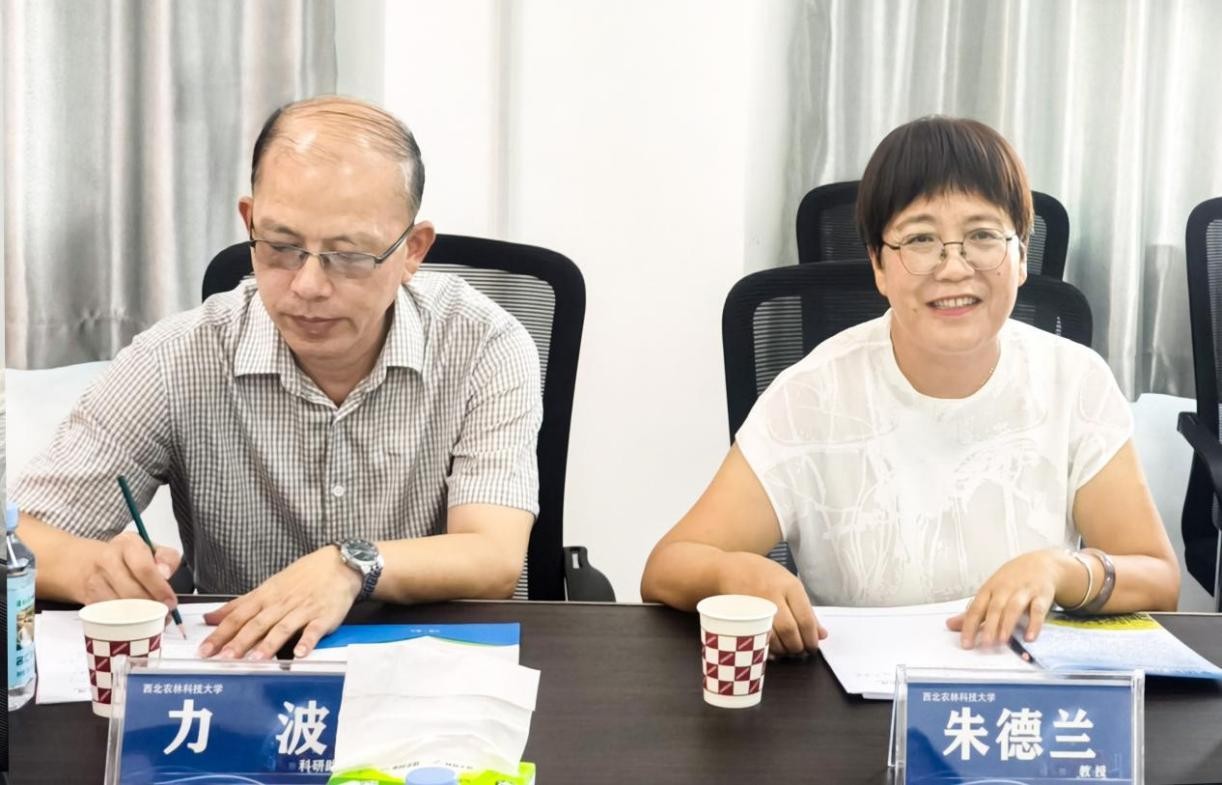OG东方厅