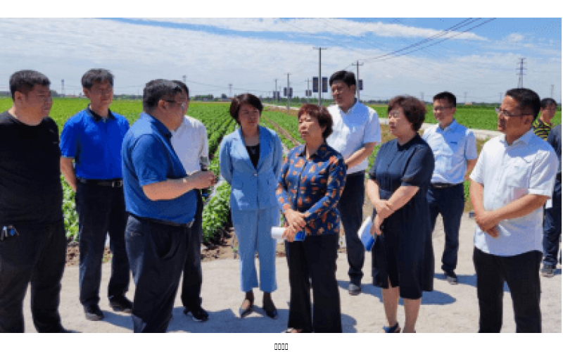 河北省农业村落厅等辅导来我公司参观查抄