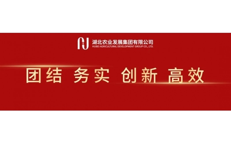 Comrade Yang Liangfeng has been appointed Secretary of the Party Committee and Chairman of both Hubei Agricultural Development Group and Hubei State Farms Group.