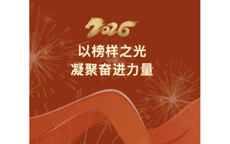 以楷模之光凝聚奋进力量 - 湖北农发集团赞美2025年度先进集体和先进幼我①
